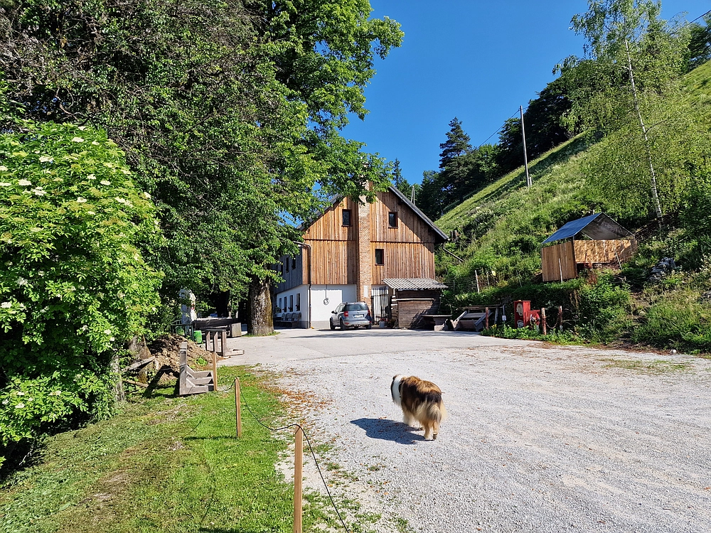 Slika je vidna v Google Chromu.