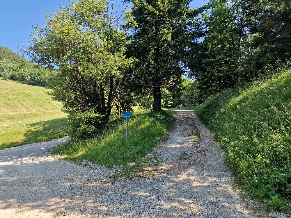 Slika je vidna v Google Chromu.