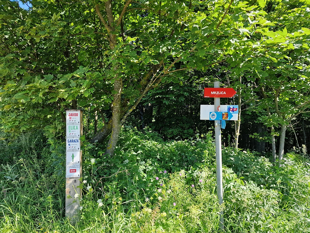 Slika je vidna v Google Chromu.