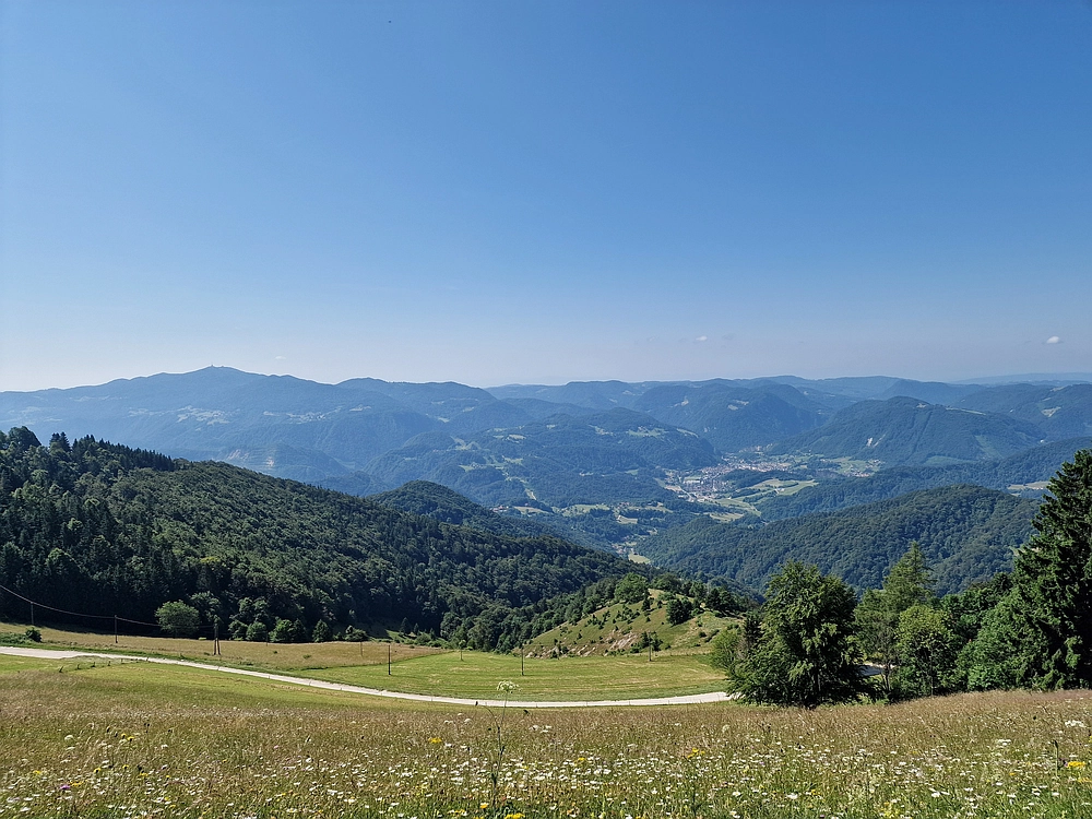 Slika je vidna v Google Chromu.