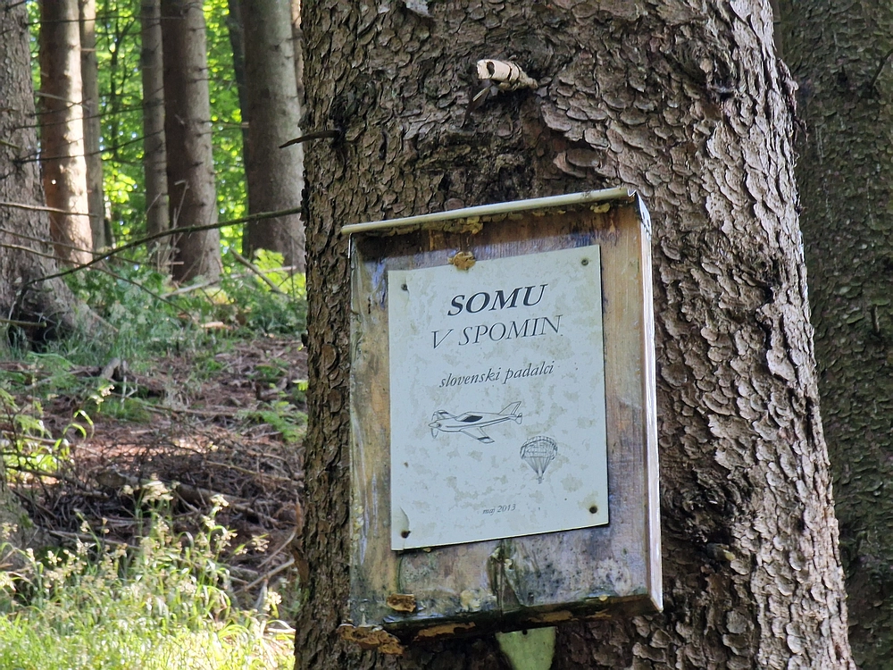 Slika je vidna v Google Chromu.