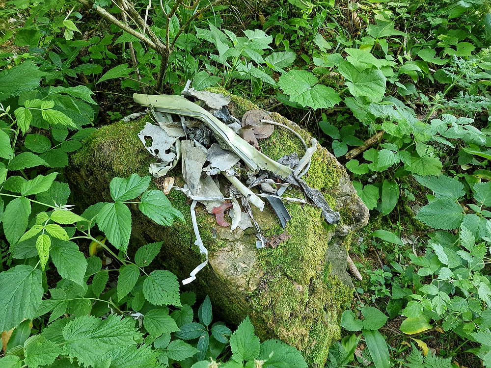 Slika je vidna v Google Chromu.