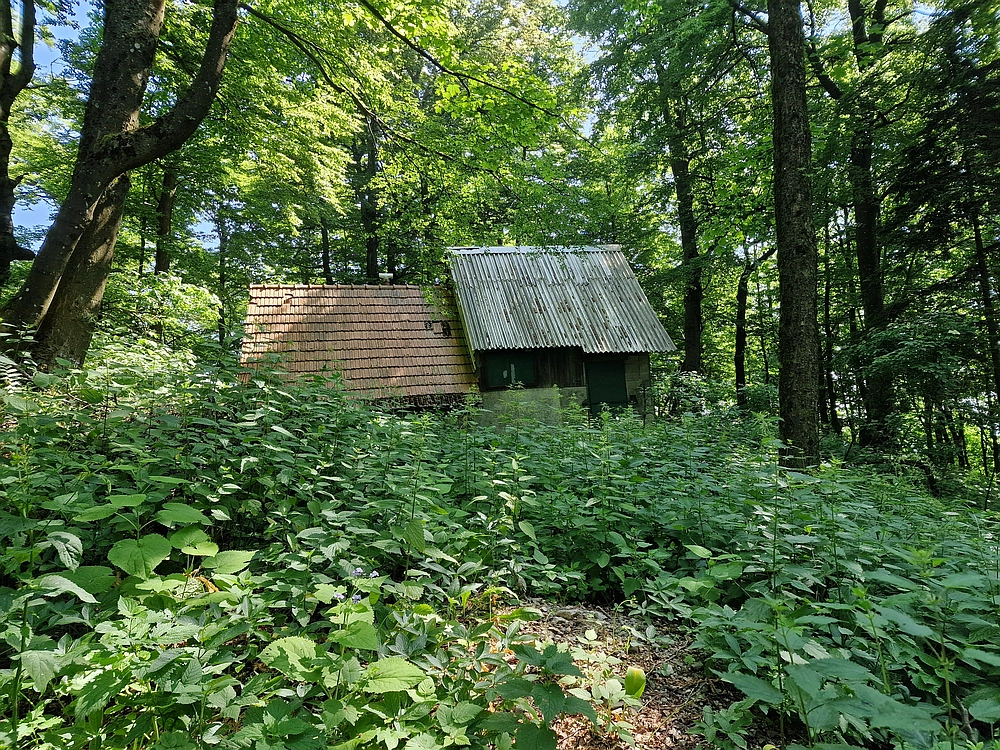 Slika je vidna v Google Chromu.