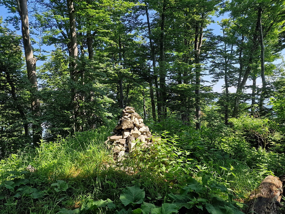 Slika je vidna v Google Chromu.