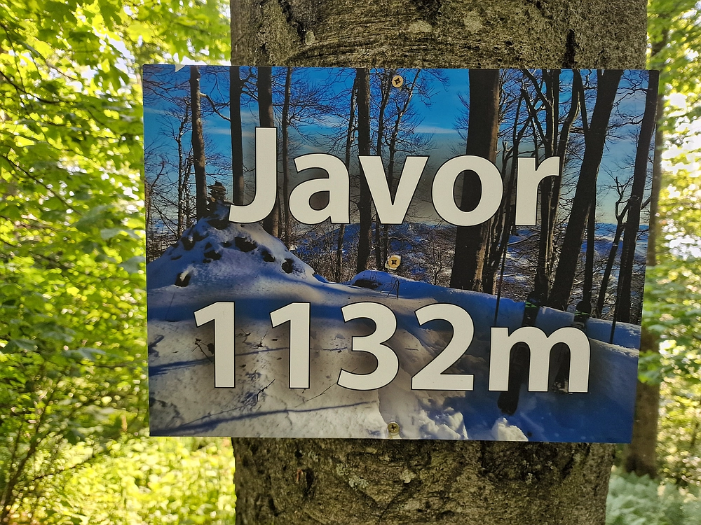 Slika je vidna v Google Chromu.