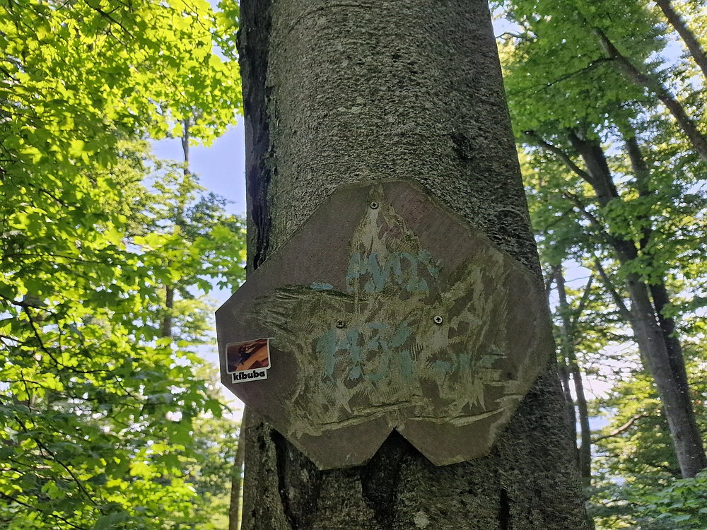 Slika je vidna v Google Chromu.