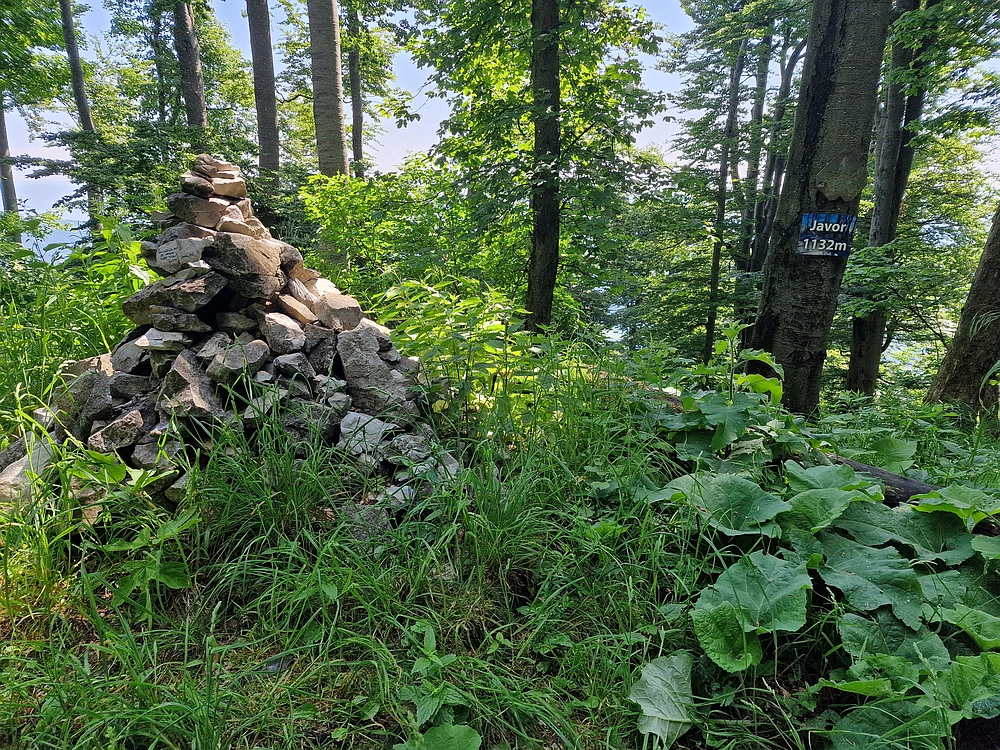 Slika je vidna v Google Chromu.