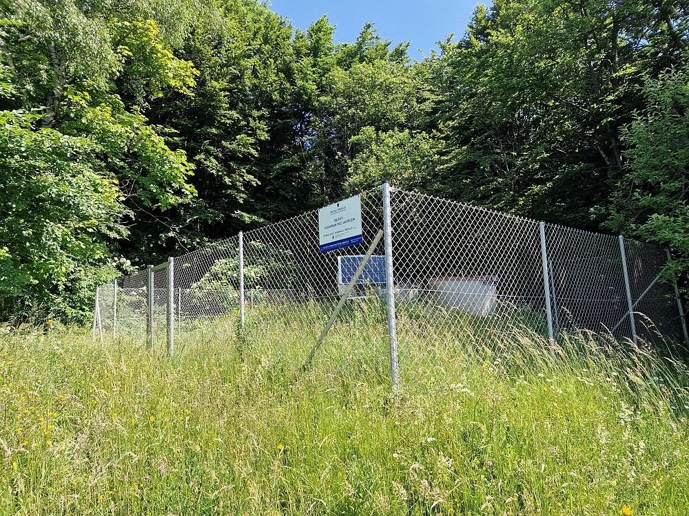 Slika je vidna v Google Chromu.