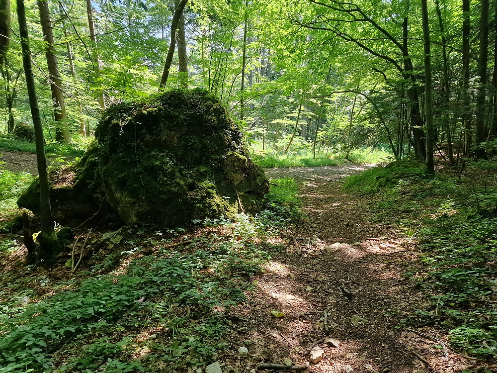 Slika je vidna v Google Chromu.
