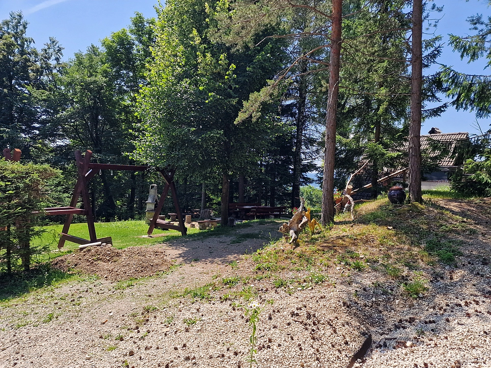 Slika je vidna v Google Chromu.