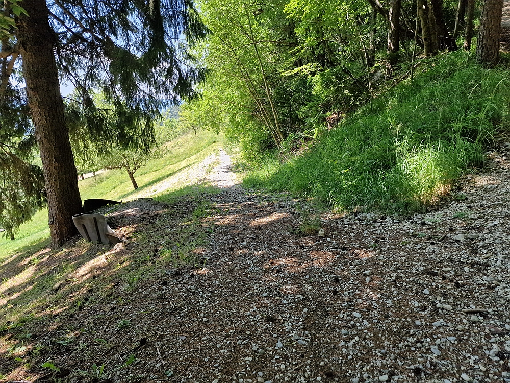 Slika je vidna v Google Chromu.