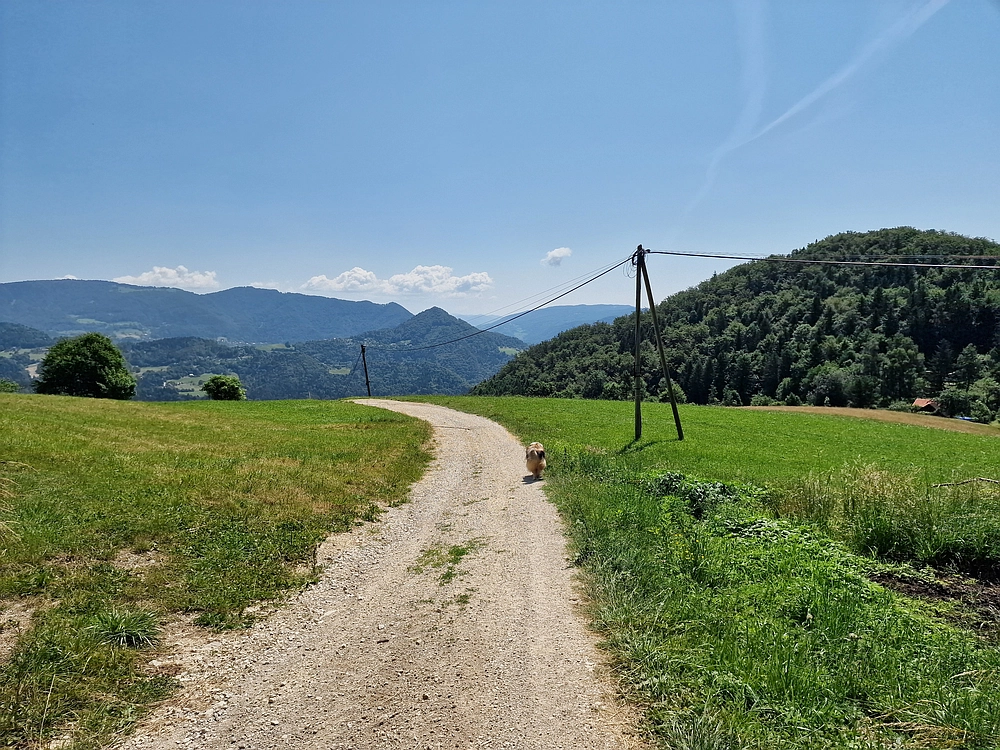 Slika je vidna v Google Chromu.