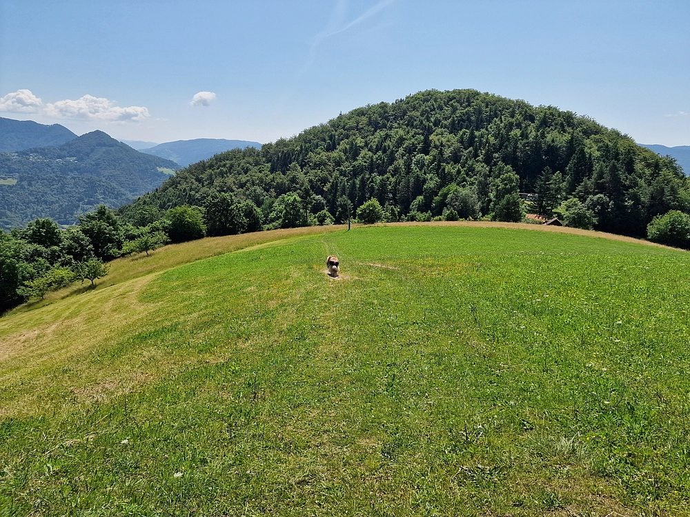 Slika je vidna v Google Chromu.