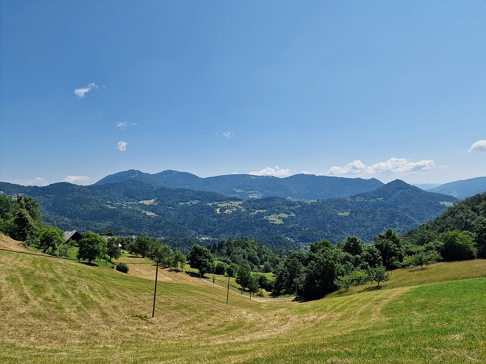 Slika je vidna v Google Chromu.