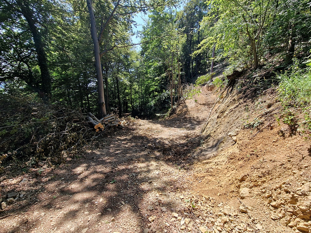 Slika je vidna v Google Chromu.