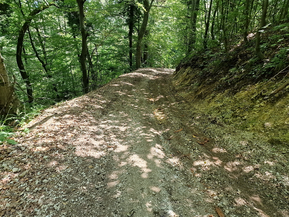 Slika je vidna v Google Chromu.