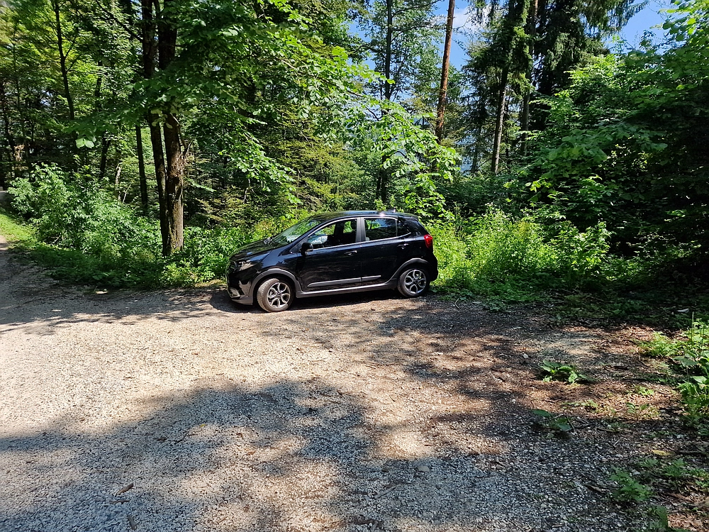 Slika je vidna v Google Chromu.