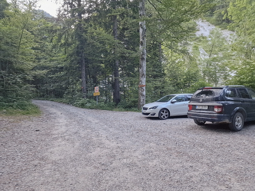 Slika je vidna v Google Chromu.