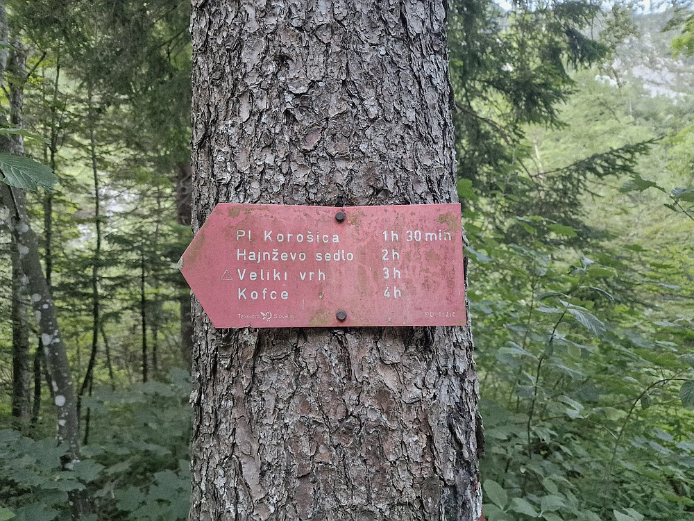 Slika je vidna v Google Chromu.