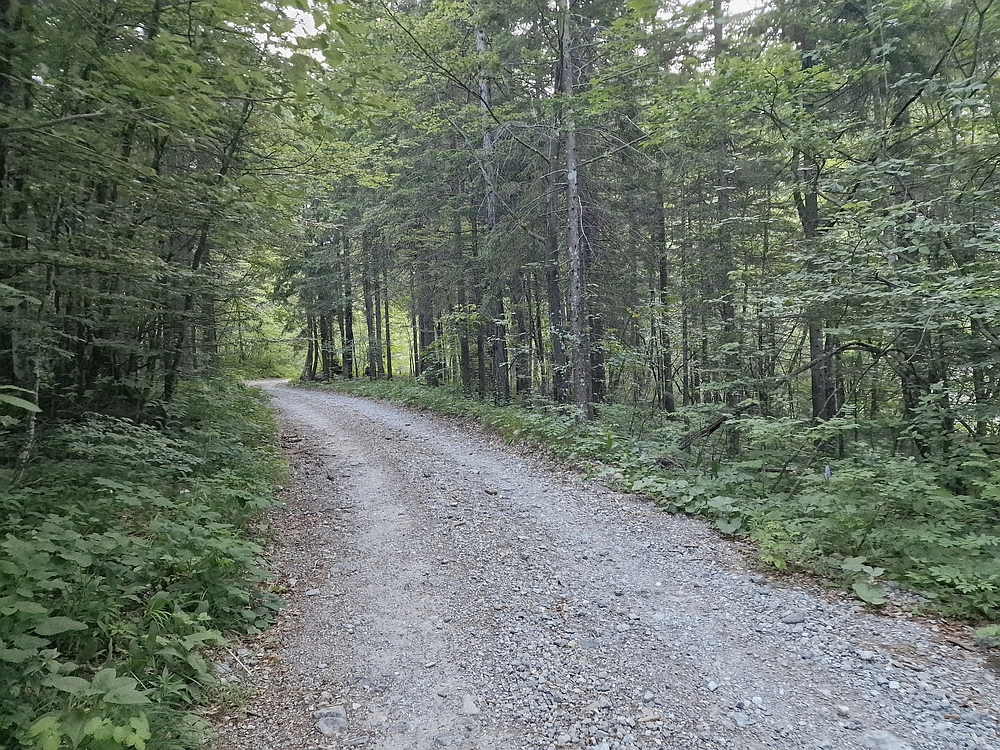 Slika je vidna v Google Chromu.