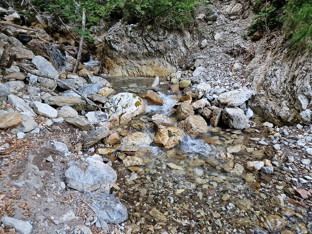 Slika je vidna v Google Chromu.