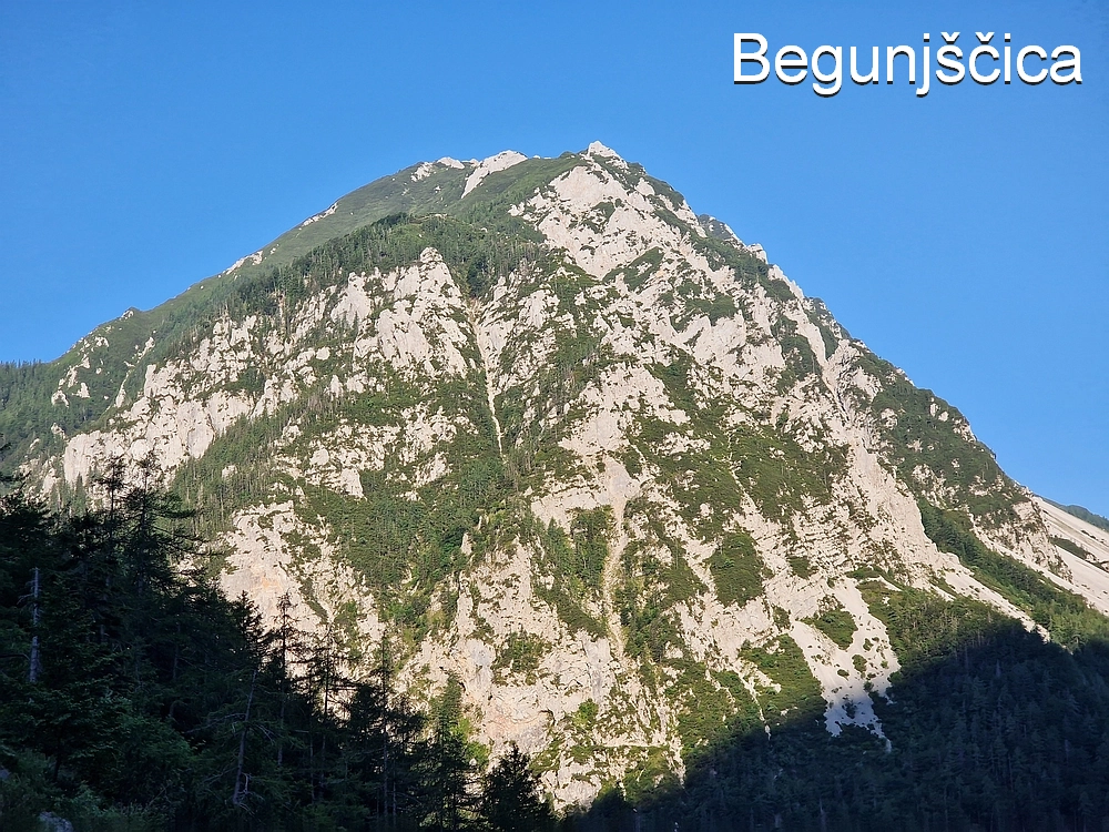 Slika je vidna v Google Chromu.