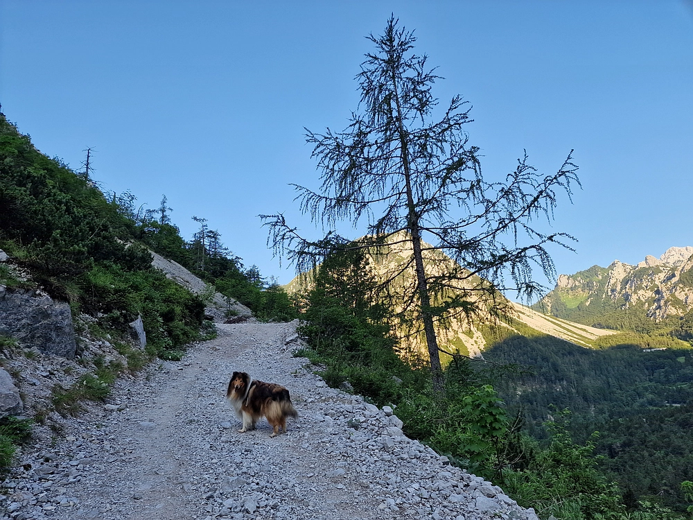Slika je vidna v Google Chromu.