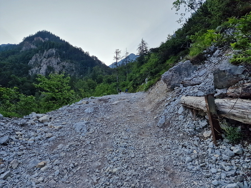 Slika je vidna v Google Chromu.