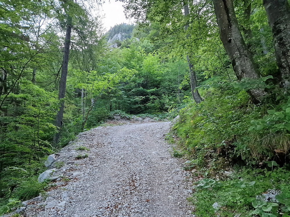 Slika je vidna v Google Chromu.