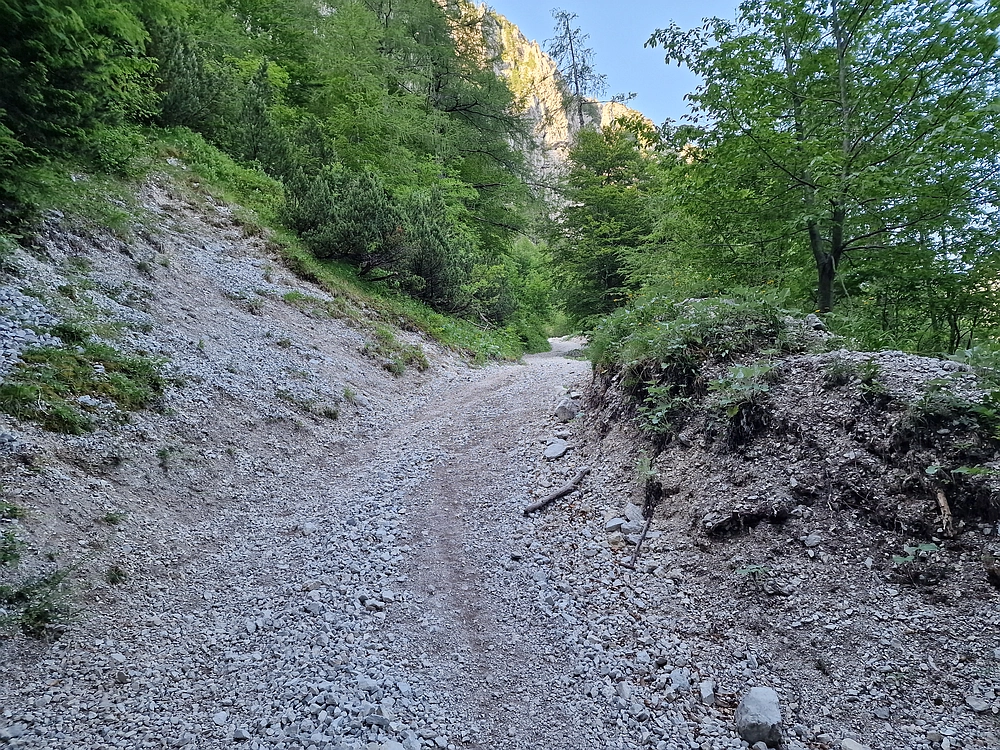 Slika je vidna v Google Chromu.