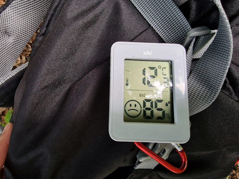 Slika je vidna v Google Chromu.