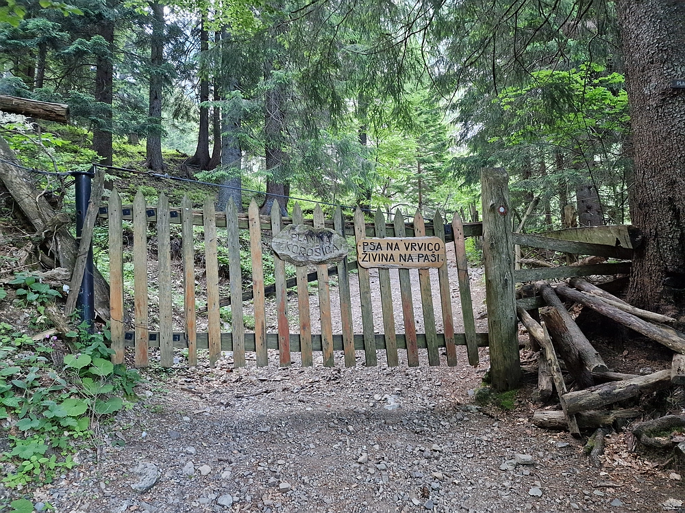 Slika je vidna v Google Chromu.