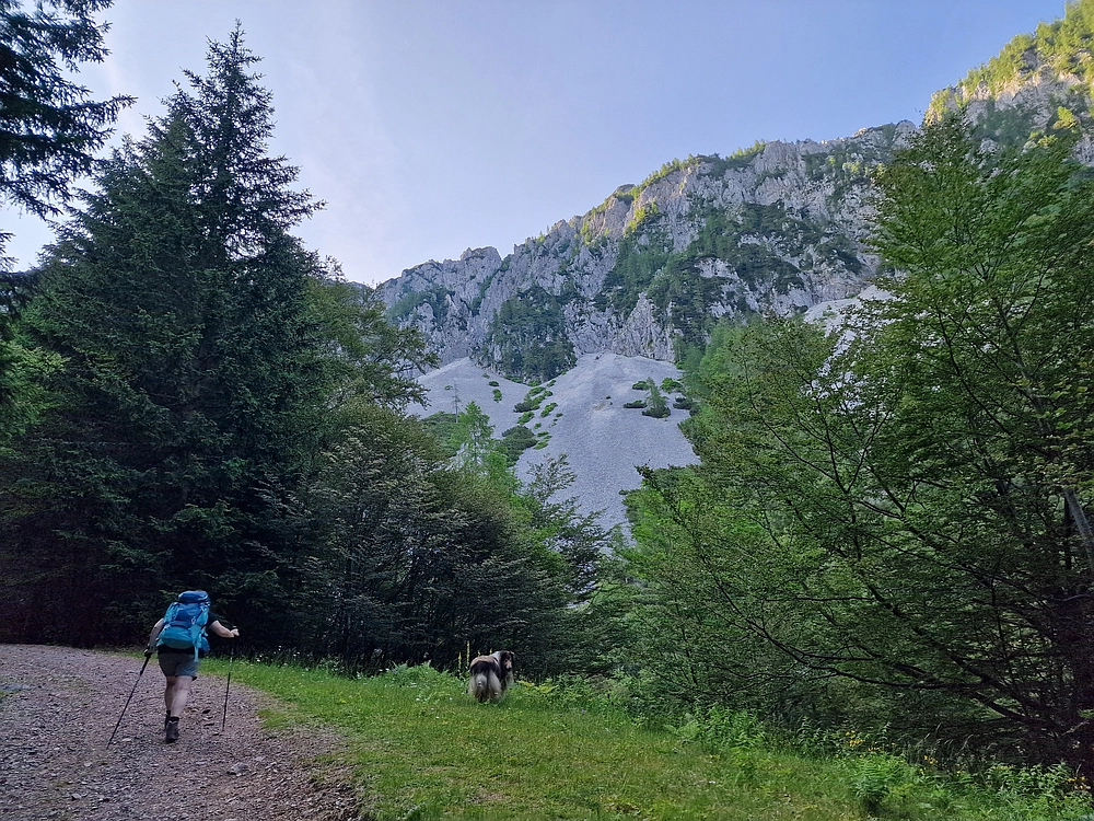 Slika je vidna v Google Chromu.