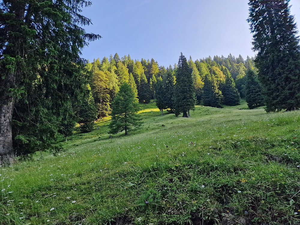 Slika je vidna v Google Chromu.