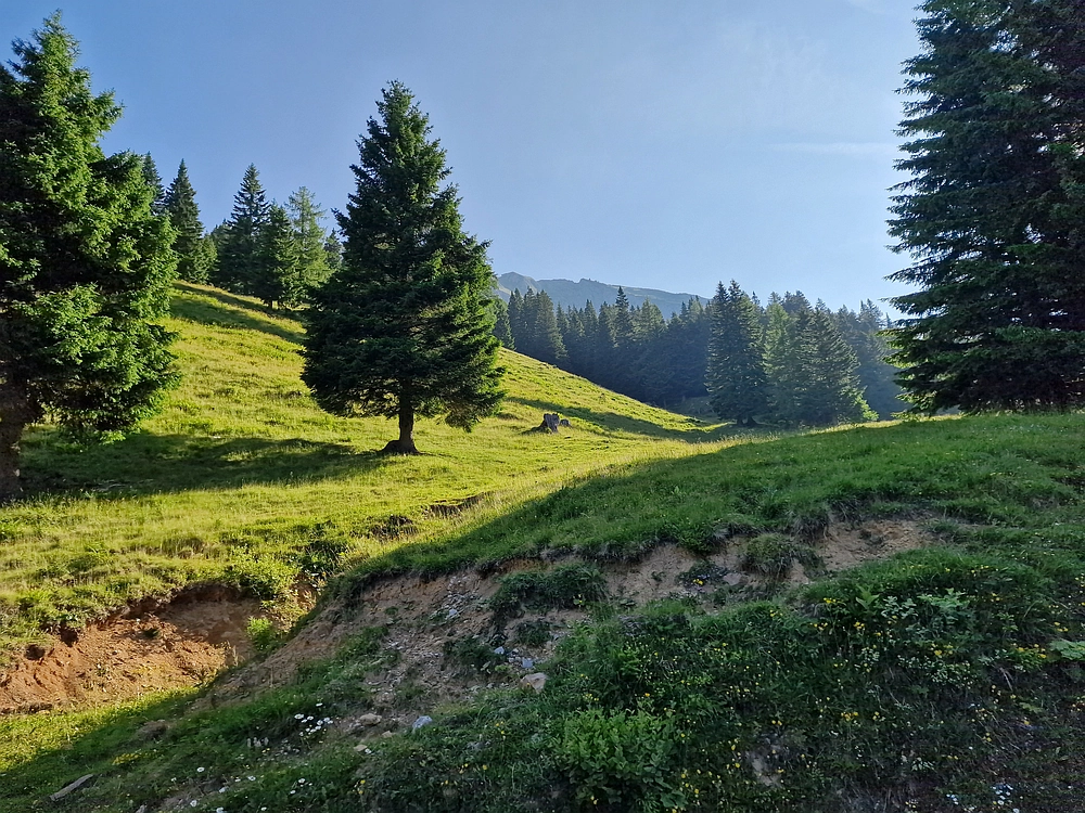 Slika je vidna v Google Chromu.