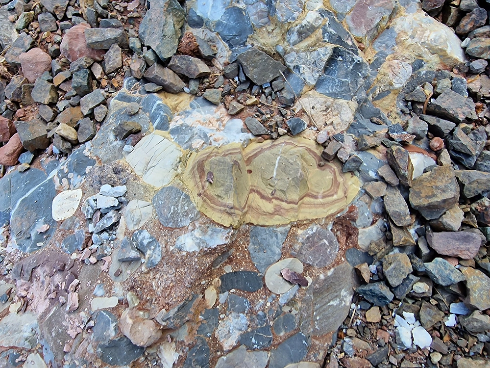 Slika je vidna v Google Chromu.