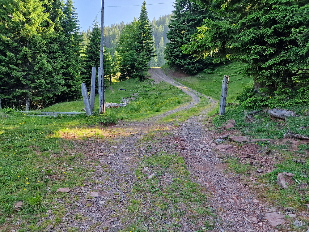 Slika je vidna v Google Chromu.