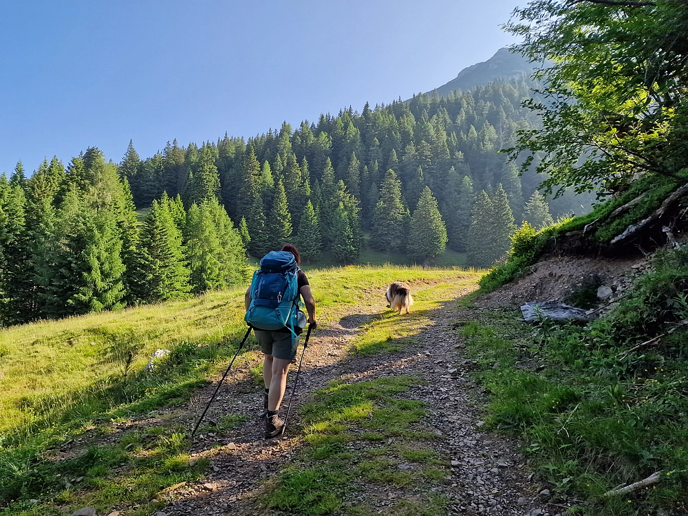 Slika je vidna v Google Chromu.