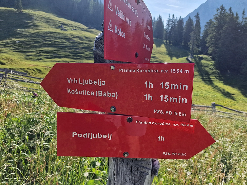 Slika je vidna v Google Chromu.