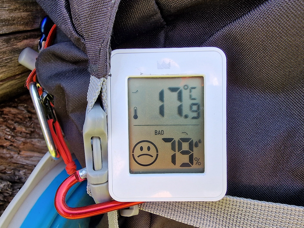 Slika je vidna v Google Chromu.