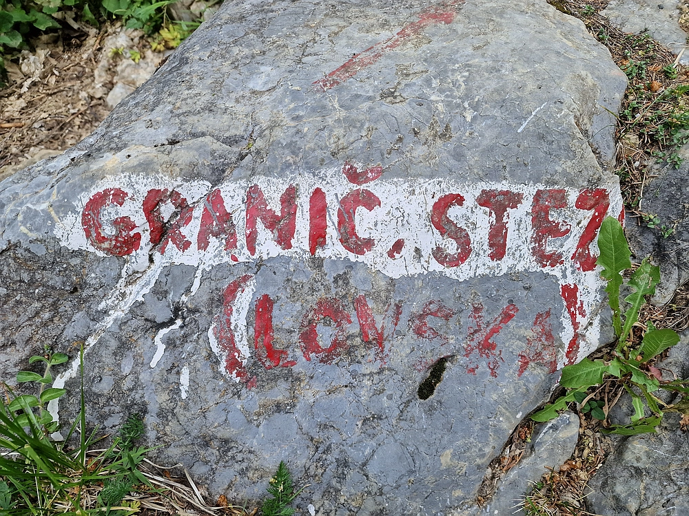 Slika je vidna v Google Chromu.