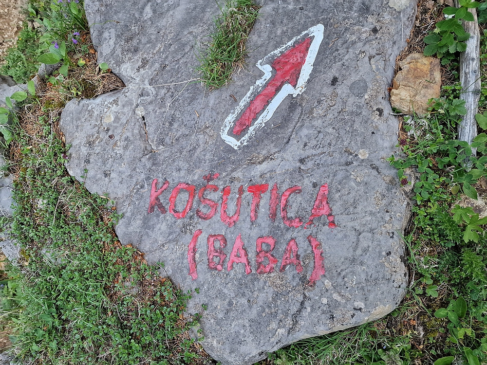 Slika je vidna v Google Chromu.