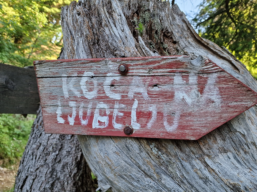 Slika je vidna v Google Chromu.