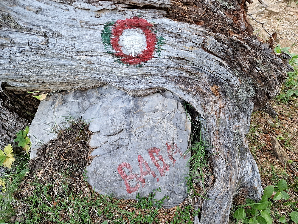 Slika je vidna v Google Chromu.