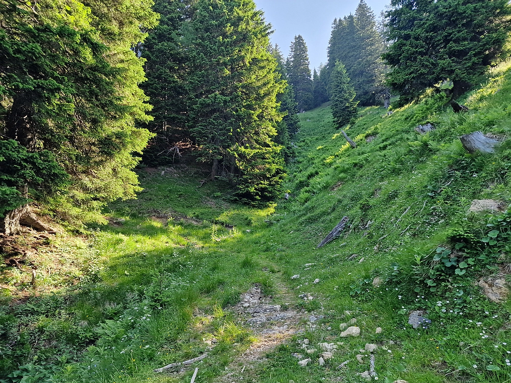 Slika je vidna v Google Chromu.