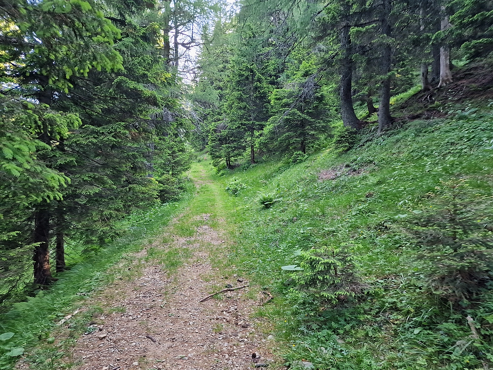 Slika je vidna v Google Chromu.