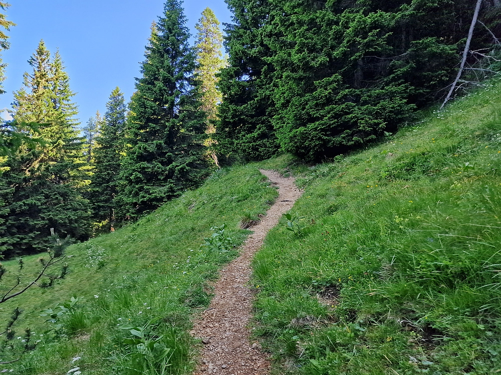 Slika je vidna v Google Chromu.