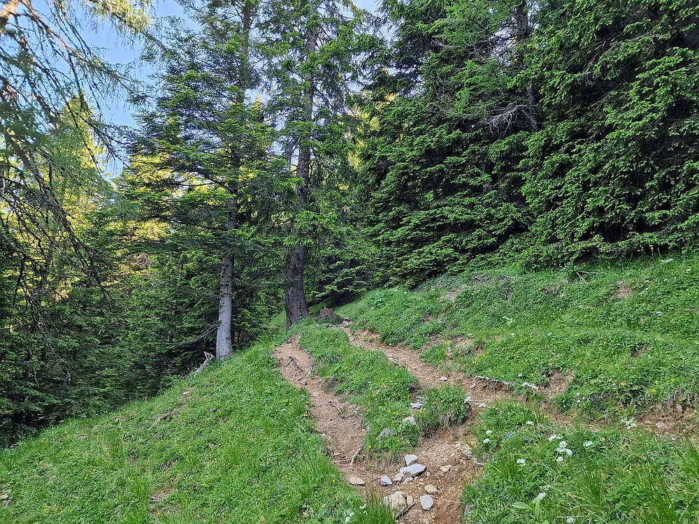 Slika je vidna v Google Chromu.