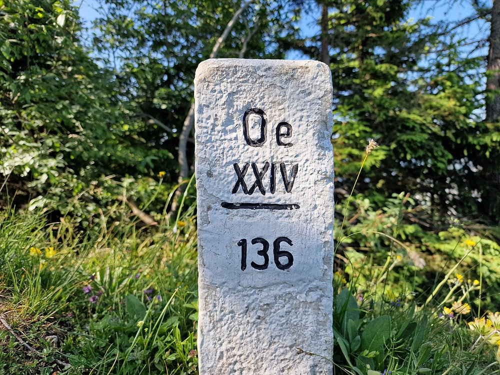 Slika je vidna v Google Chromu.