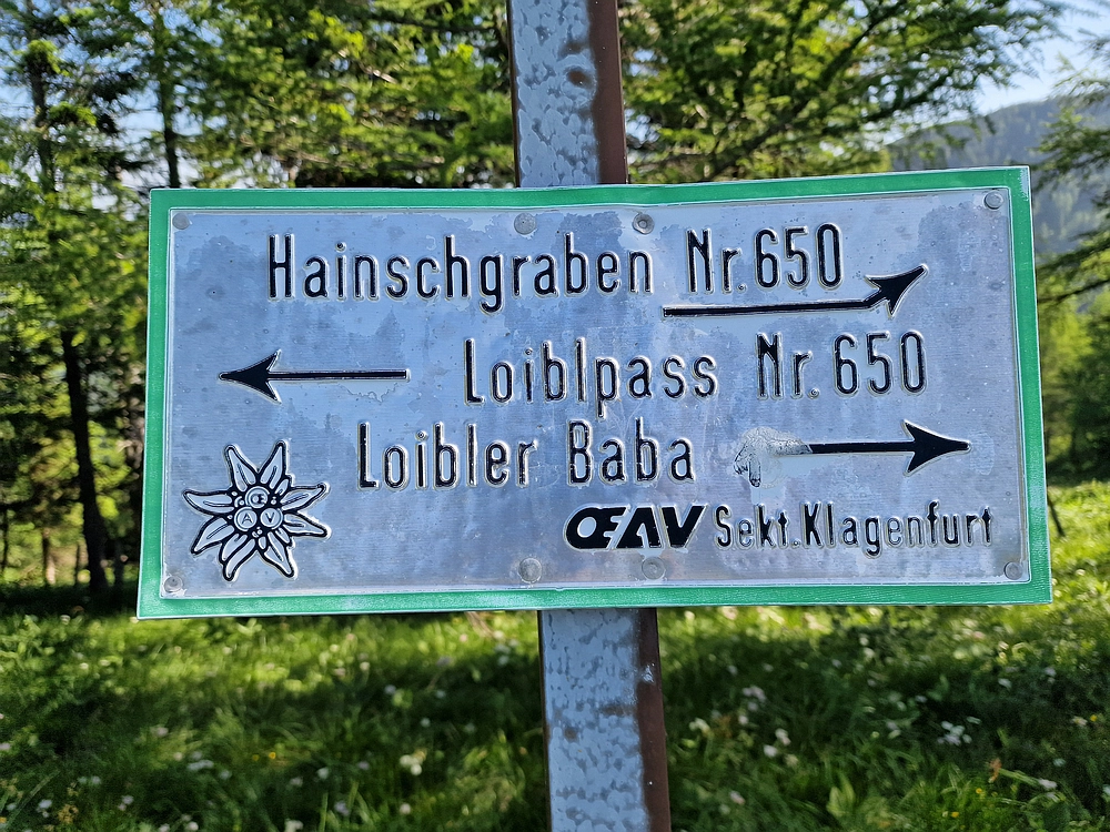 Slika je vidna v Google Chromu.